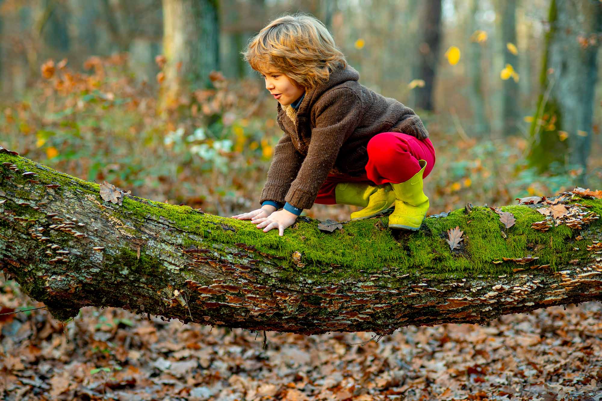 Child Climbing On A Tree